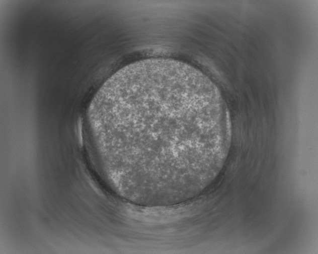 X0000073980022200609181728