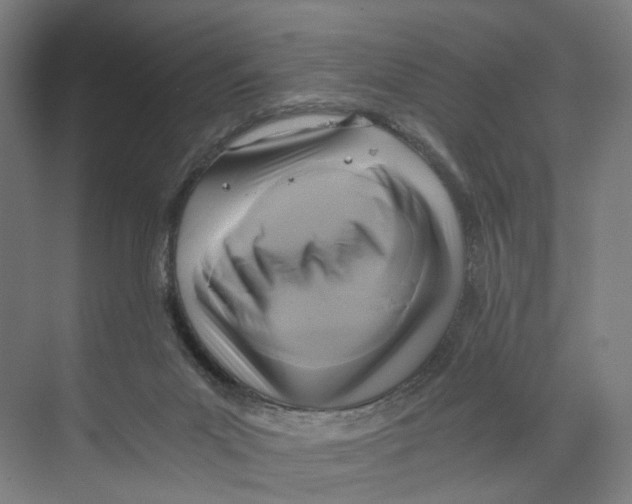 X0000073980023200609181728