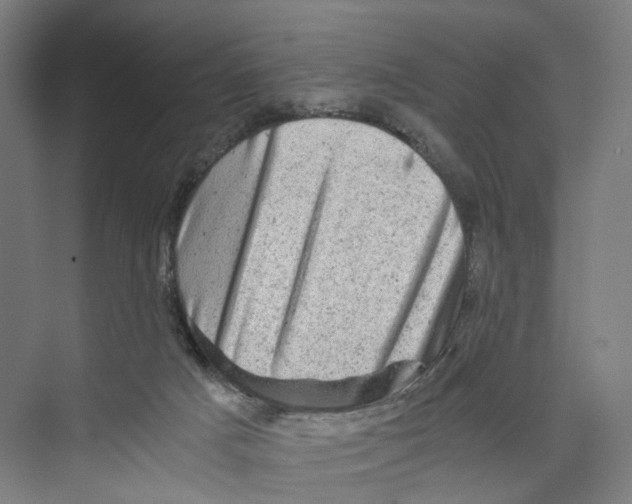 X0000073980025200609181728