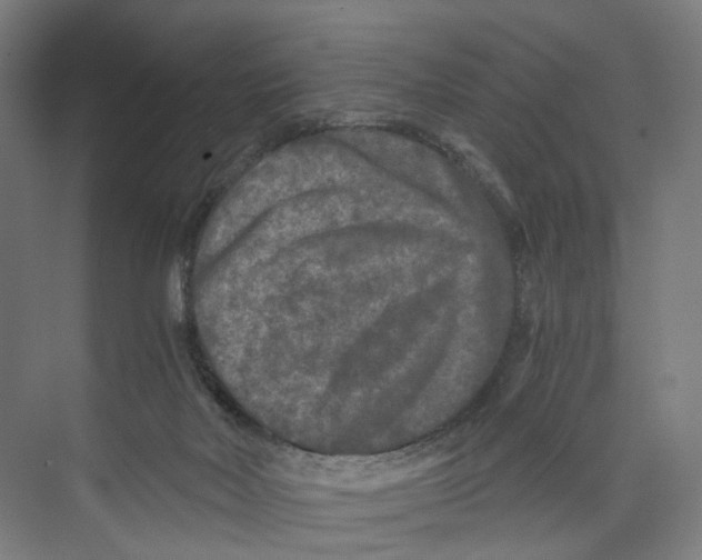 X0000073980026200609181728