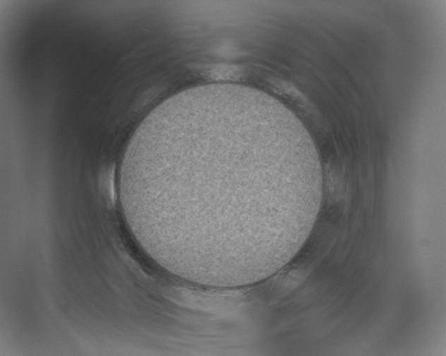 X0000073980028200609181728