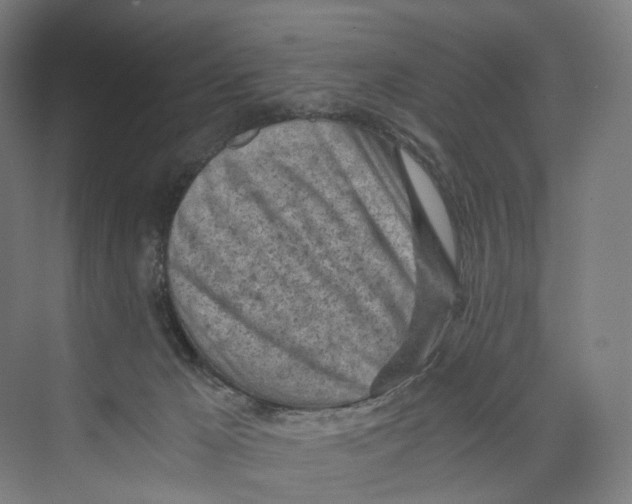 X0000073980029200609181728