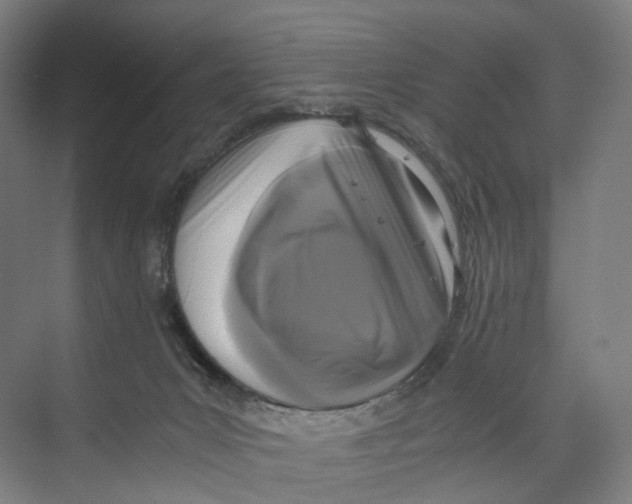 X0000073980031200609181728