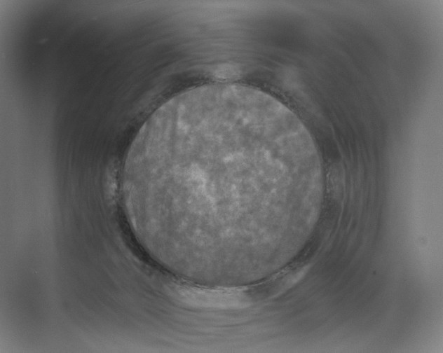 X0000073980032200609181728