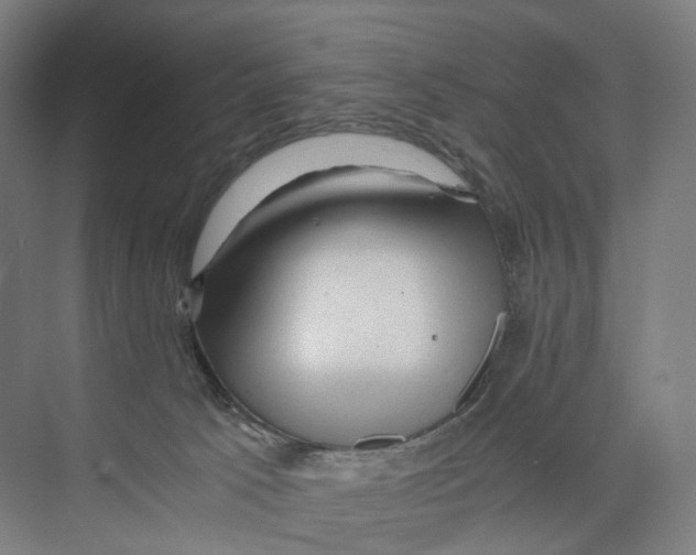 X0000073980033200609181728