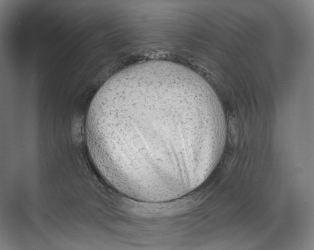 X0000073980034200609181728