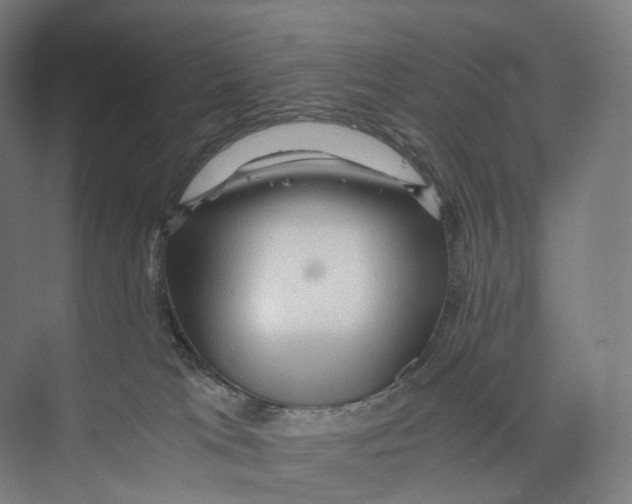 X0000073980037200609181728