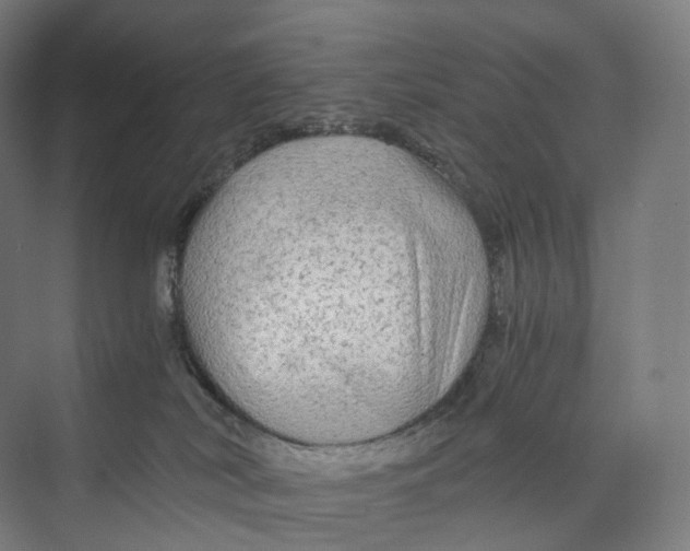 X0000073980038200609181728