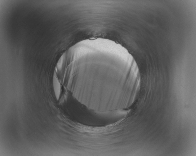 X0000073980039200609181728