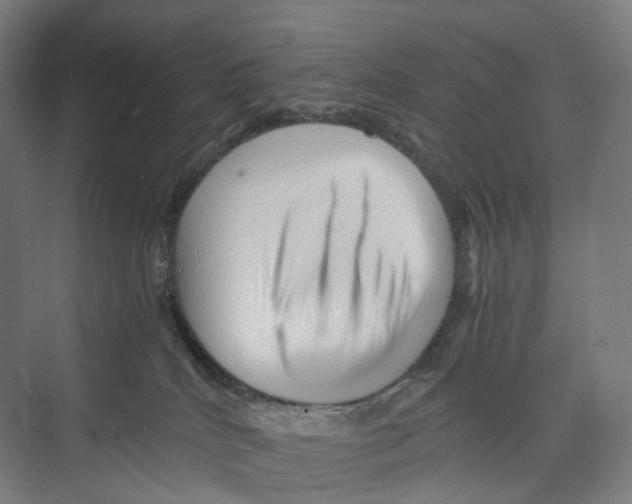 X0000073980040200609181728