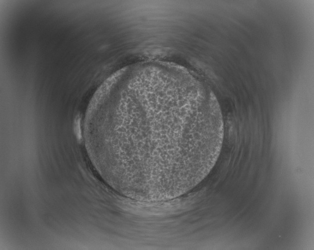 X0000073980042200609181728