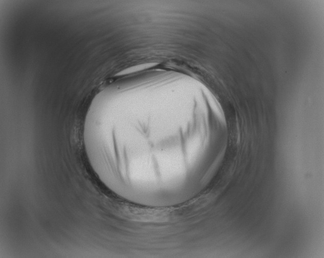 X0000073980044200609181728