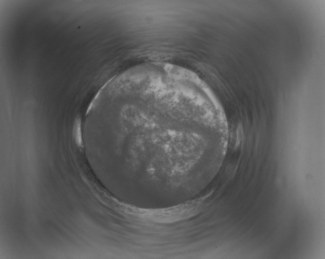 X0000073980046200609181728