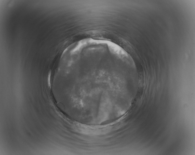 X0000073980047200609181728