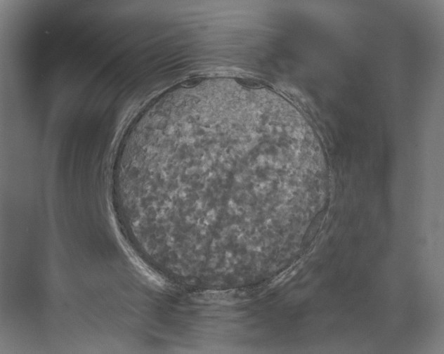 X0000073980049200609181727