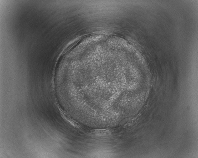 X0000073980050200609181727