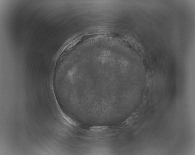 X0000073980051200609181727