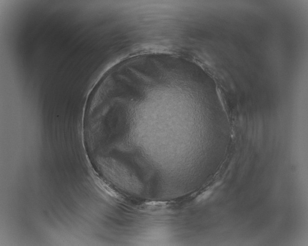 X0000073980052200609181727