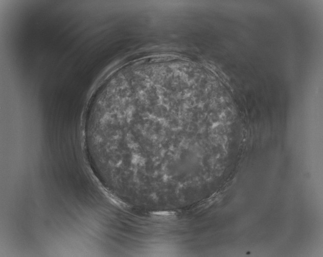 X0000073980053200609181727