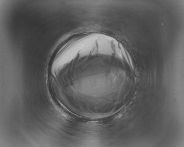 X0000073980054200609181727