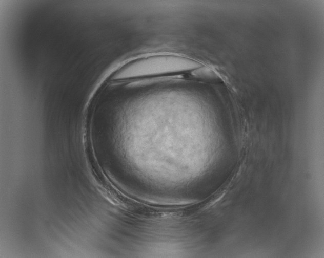 X0000073980056200609181727