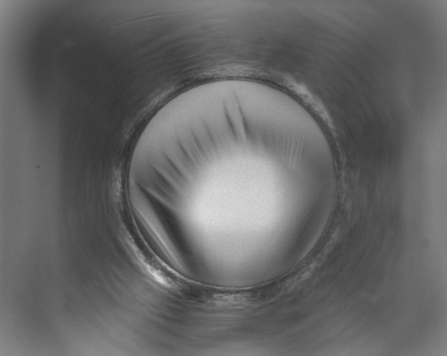 X0000073980057200609181727