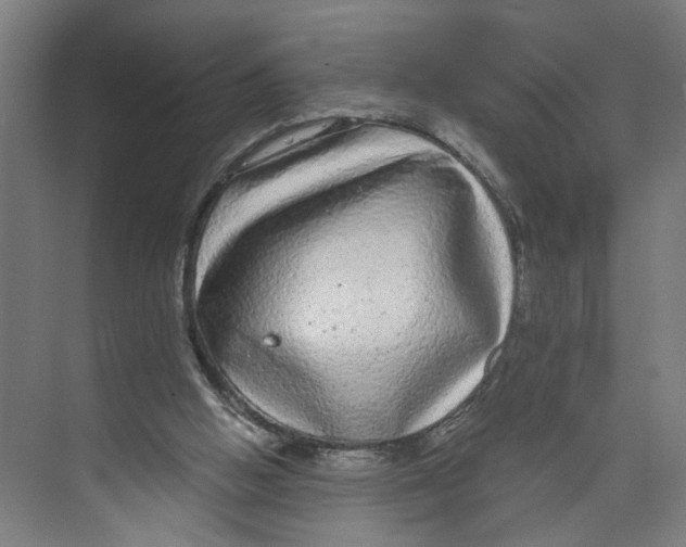 X0000073980058200609181727