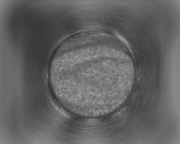 X0000073980059200609181727