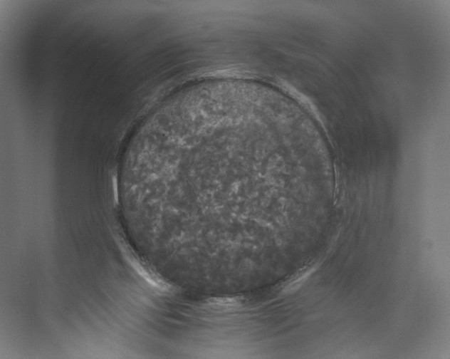 X0000073980061200609181727