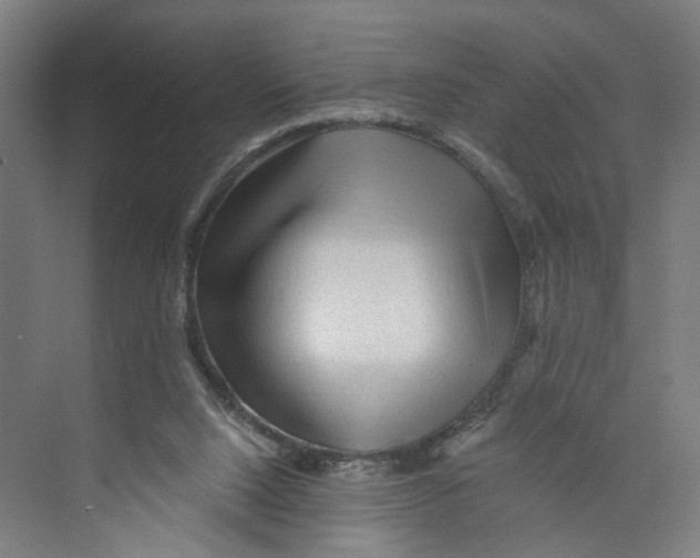 X0000073980064200609181727