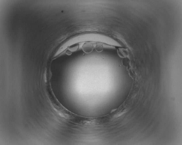 X0000073980068200609181727