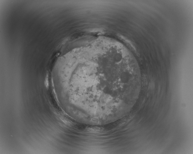 X0000073980069200609181727