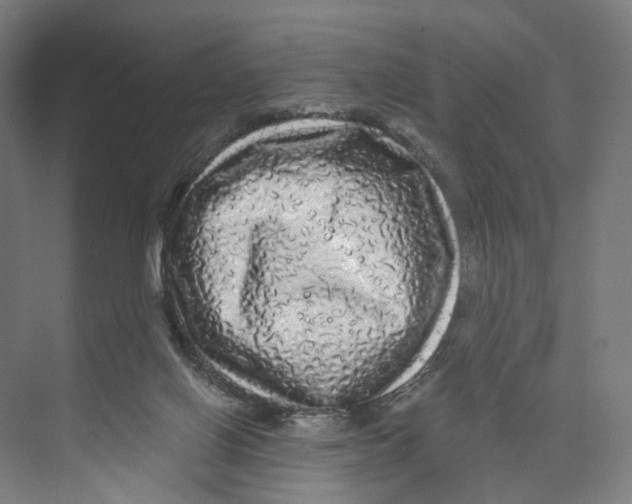 X0000073980070200609181727