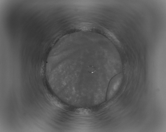 X0000073980073200609181727