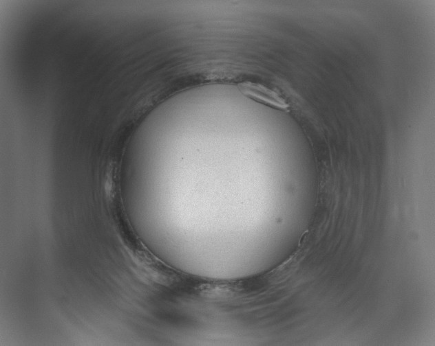 X0000073980074200609181727