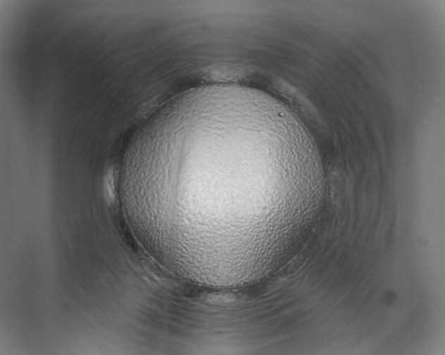 X0000073980075200609181727