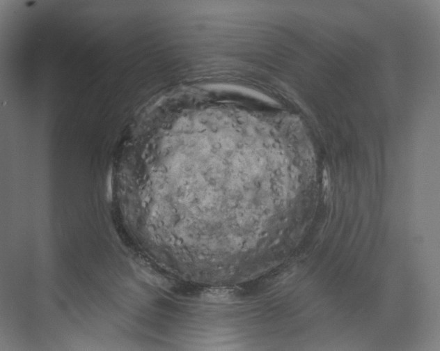 X0000073980076200609181727