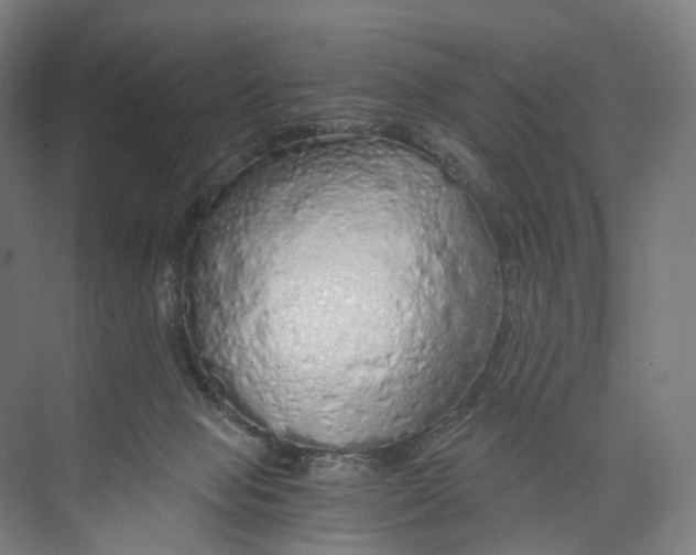 X0000073980077200609181727