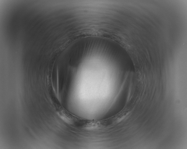 X0000073980080200609181727