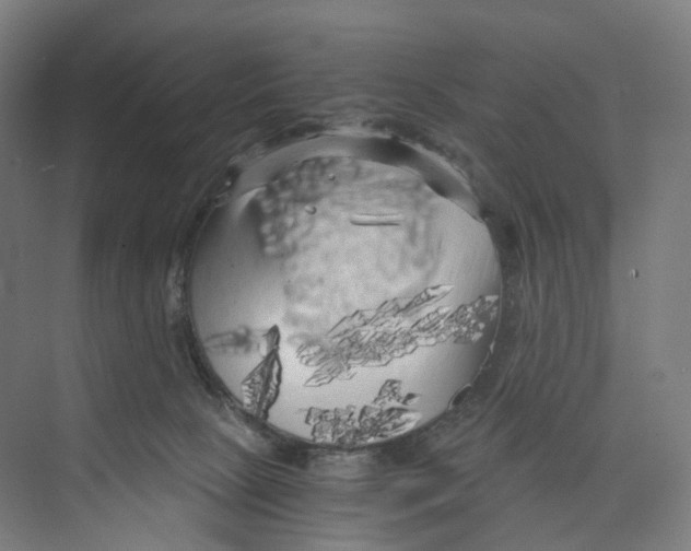 X0000073980081200609181727