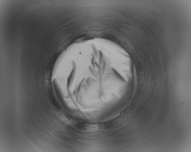 X0000073980083200609181727