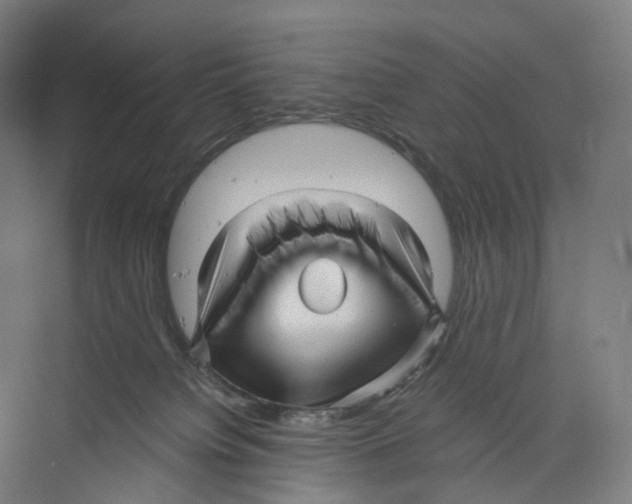 X0000073980084200609181727