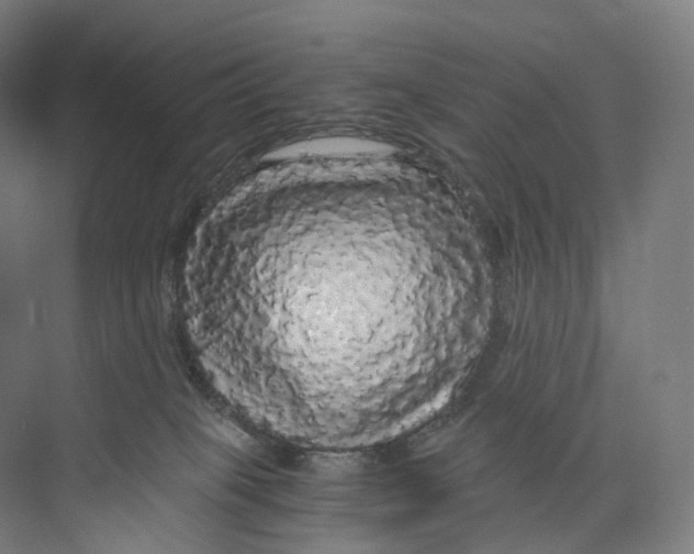 X0000073980085200609181727