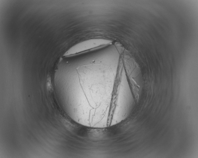 X0000073980089200609181727