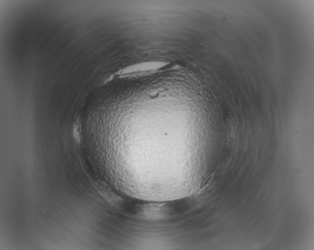 X0000073980090200609181727