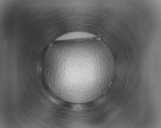 X0000073980091200609181728