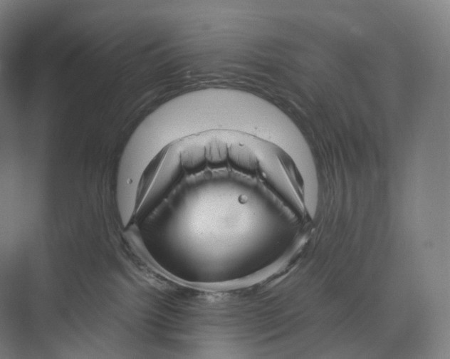 X0000073980092200609181728