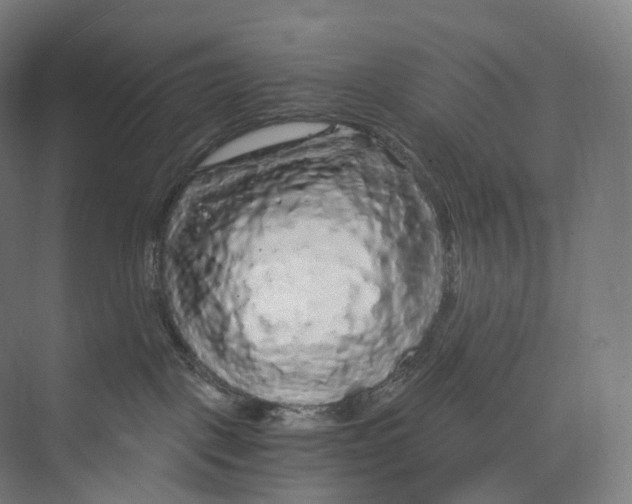 X0000073980093200609181728