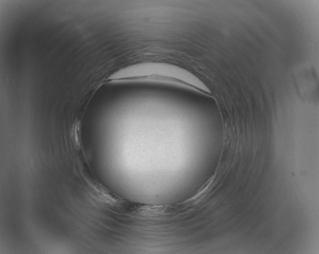 X0000073980094200609181728