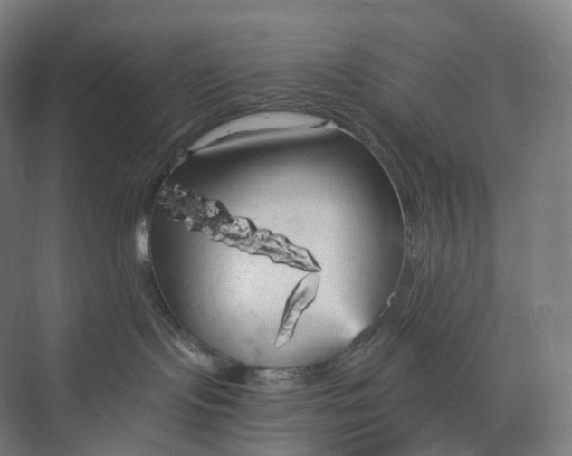 X0000073980095200609181728